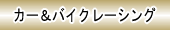 J[@oCN@[VO@ÃQ[@
